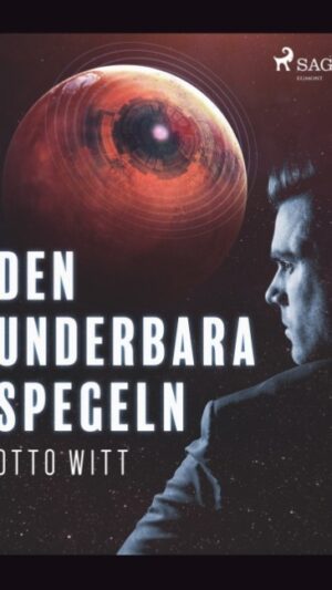 Den underbara spegeln